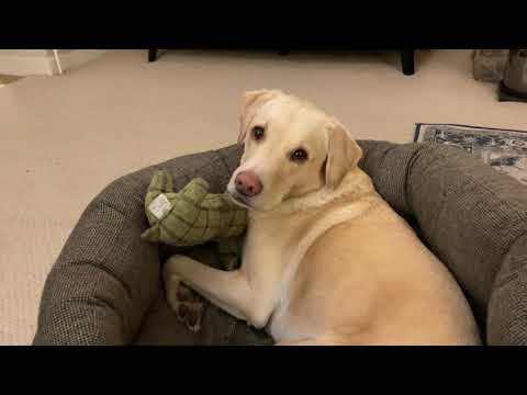 Olive and Mabel - co-authors.