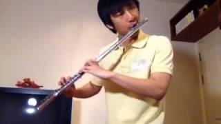 Don&#39;t Speak - No Doubt flute Version by Psycho Butterfly