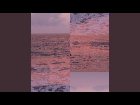 Pedestre - Clara Campos
