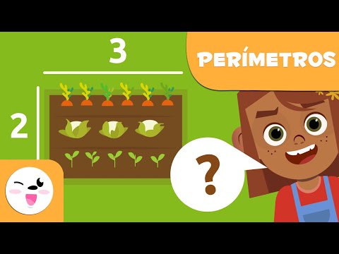 ¿Qué es el perímetro? - Geometría para niños