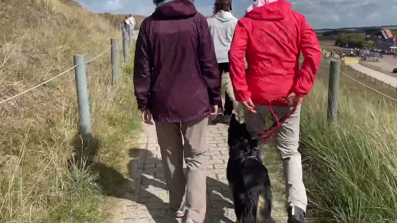 Leinen Training zu zweit gehen