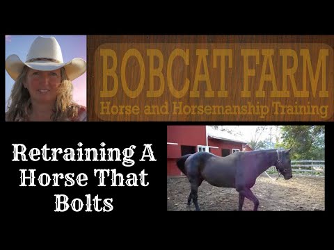 Retraining A Horse That Bolts