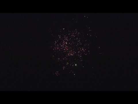 3 inch Green PEONY WTIME RAIN PISTIL