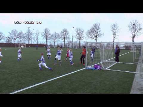 Samenvatting IJsselmeervogels ME1 - Spakenburg ME1