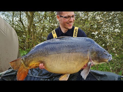 SBS Minuten - David Weber (Fruhlingsruns)