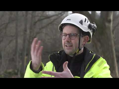 E4 Förbifart Stockholm – naturvård i Sätraskogens naturreservat, lång version | Trafikverket