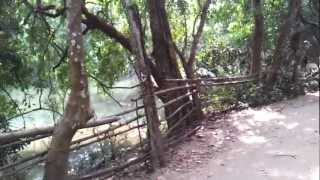 preview picture of video 'Nature Walk at Kuruva Islands'