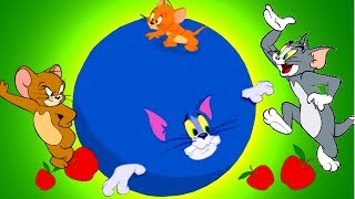 Tom and Jerry Games Cartoon Full Episodes - Colossal Catastrophe & War of the Whiskers Kids Games