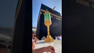 Download lagu Hamoud Al Qahtani - The Beauty Of Existence | Aesthetic #shorts #islam mp3