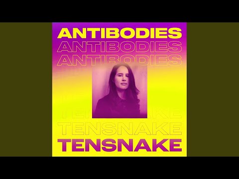 Antibodies (Tensnake Disco Extended Mix)
