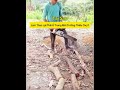 Trang Chủ 4 Video thumbnail