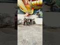 Jai Bolo Ganesh Maha Raj Ki Drums Music Dj Ganeshchaturthi Ganpati