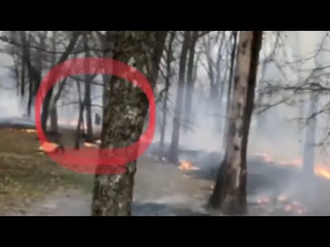 Giant CREATURE Caught on VIDEO! IT'S RUNNING THROUGH FIRE! Video