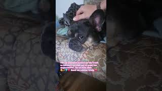 Ich geb Alles damit Sie sich schnell Zuhause fühlt mit mir❤️#helpmemakethismakesense  #hundeliebe