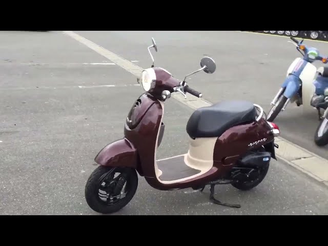 ジョルノ/ホンダ の販売情報 バイク王 福岡店｜ウェビック バイク選び