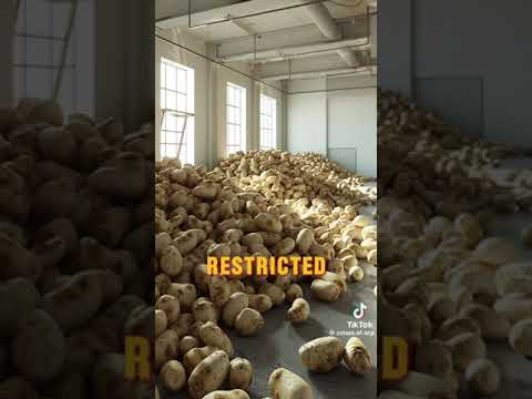 SCP-1689 Bag of Holding Potatoes