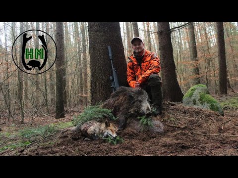 Drivehunt | Drückjagd in Meckpomm - Jagdkrone