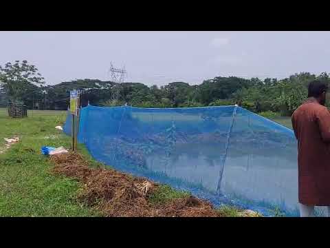 রাজস্ব বাজেটের আওতায় বিল নার্সারী স্তাপন