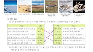 [초등과학 5-2 무료강의] 2. 생물과 환경 ⑥ 생물은 환경에 어떻게 적응될까요?