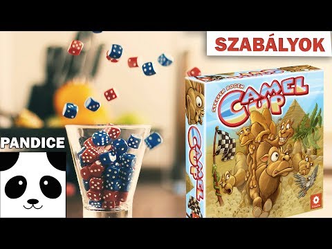 Camel Up (tevefutam) társasjáték szabályok - PanDice