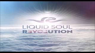 Liquid Soul - Revolution