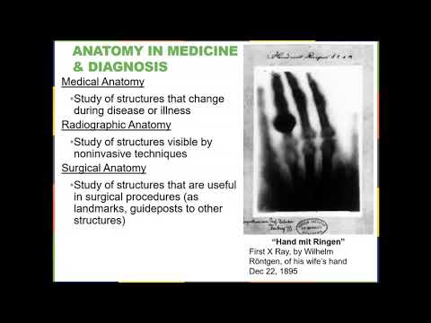 OpenStax Anatomy Ch.1