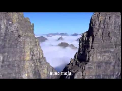 "Nase Gnjezdo" - DOBRIVOJE PAVLICA