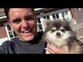 Welke huisdieren heeft Floris? | DierenpraatTV