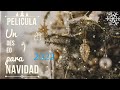 Mejor Pelicula De NAVIDAD Y ROMANCE ️ 2023 4k HD