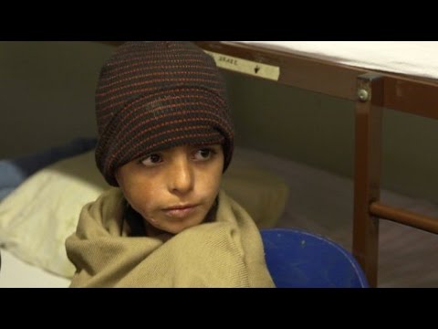 Die Klinik nach der Behandlung der Nägel in omske Die Ohren gribok zu behandeln