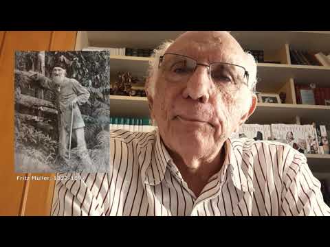 Aula 32 (Parte 1) - Cruz e Sousa