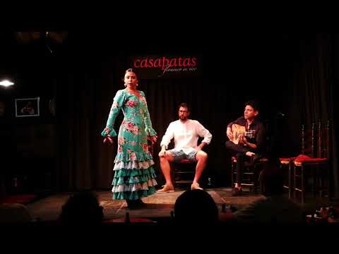 Ana Rebolo. Casa Patas. Alegrías.