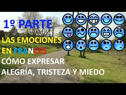 EMOTIONS IN FRENCH: JOY, SADNESS, FEAR / Intermediate French B1