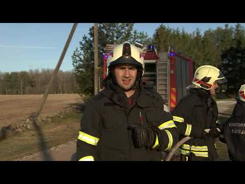 Kanal 2 "Õhtu!" saatejuhid hakkasid päästjateks