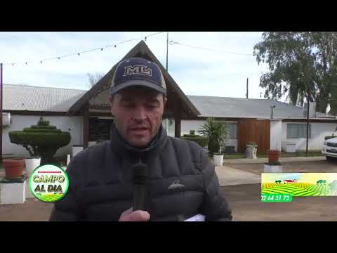 Martin Lalor's Monthly Auction