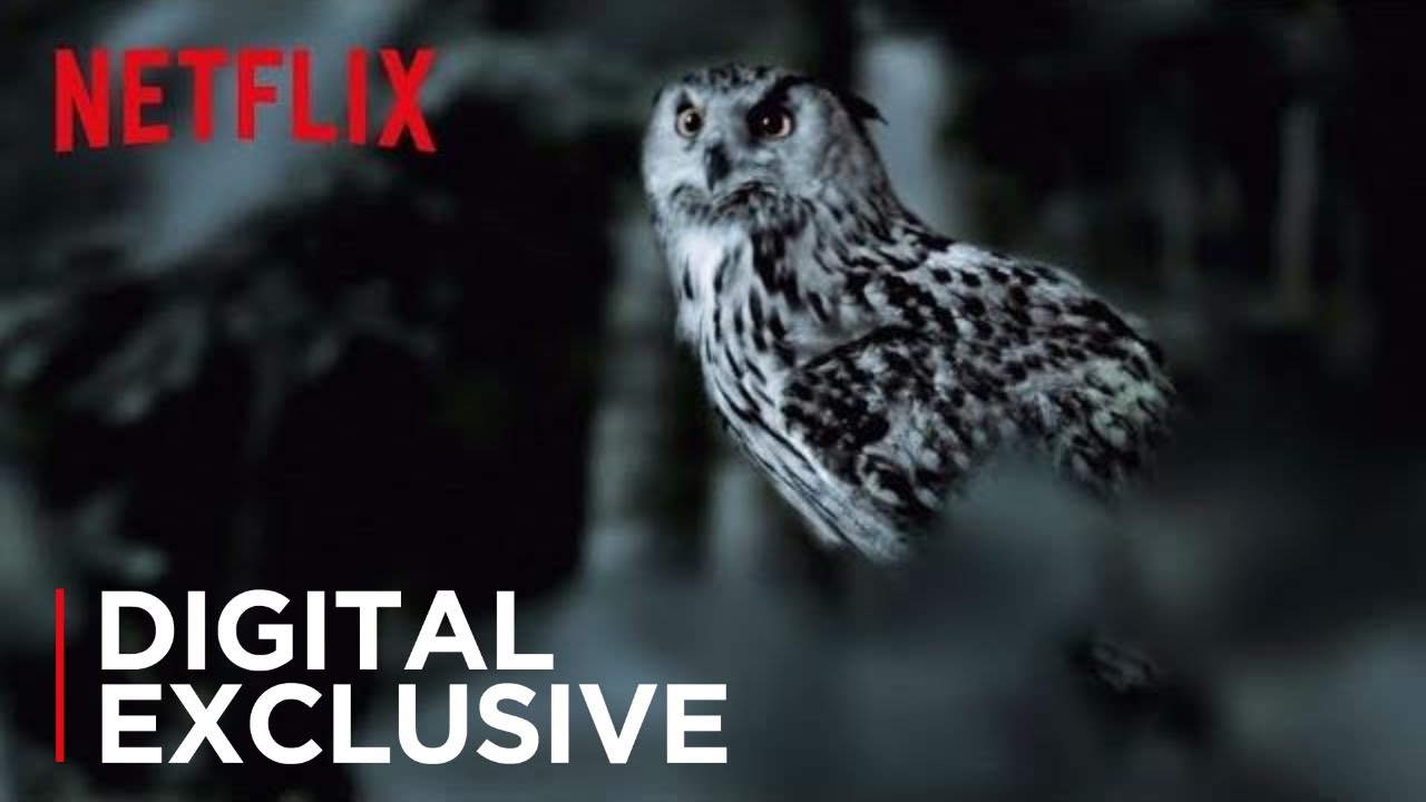 The Staircase | The Owl Theory | Netflix - YouTube