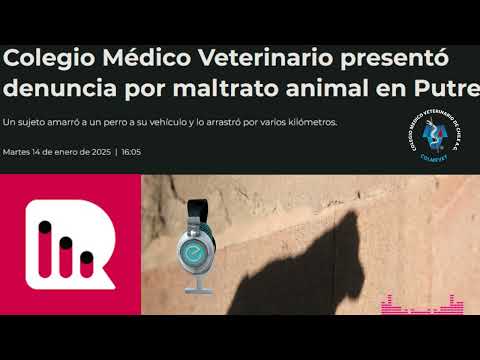 Colmevet presenta denuncia por maltrato animal en Putre