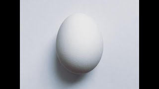 Egg?