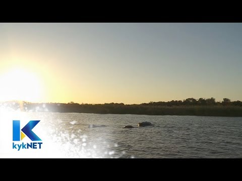 Kwêla Dorp van die Jaar 2018: Negende finalis – kykNET