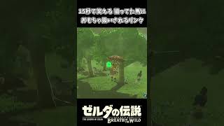 15秒で笑える 狙ってた馬におもちゃ扱いされるリンクｗｗ【ゼルダの伝説 ブレス オブ ザ ワイルド】