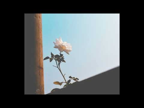 [FREE] rxseboy x powfu lofi type beat - "by your side"