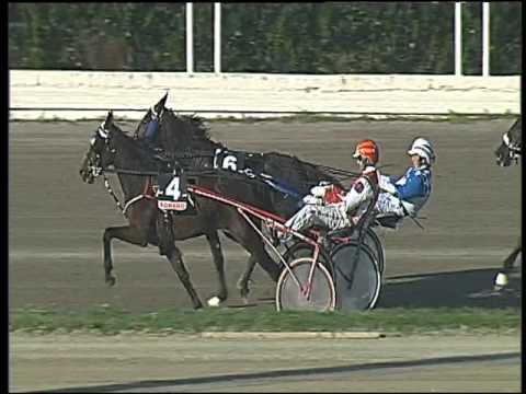 Trotto 01/11/2015 - 2° corsa