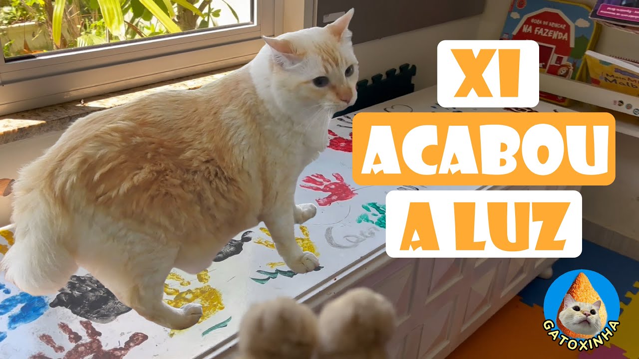 ACABOU A LUZ DO GATOXINHA - HISTORINHAS DO GATOXINHA