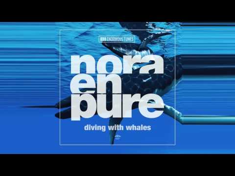 Nora En Pure – Diving with Whales