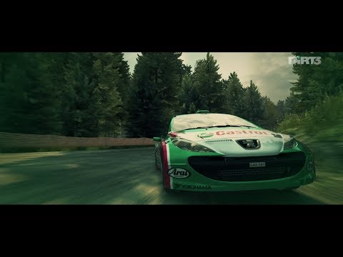 DiRT 3 - Peugeot 207 S2000 - Finland, Mutanen