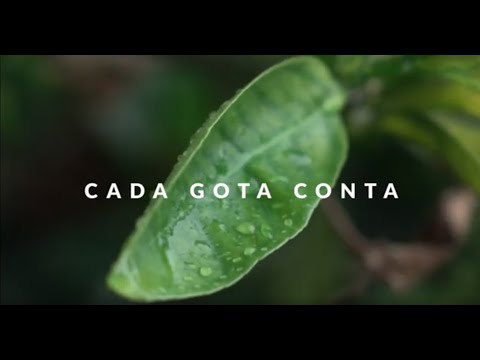 Grupo Opersan - Dia Mundial Água: Cada gota conta