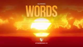 Silosonic - Words (StoneBridge Mix) Full Version HD