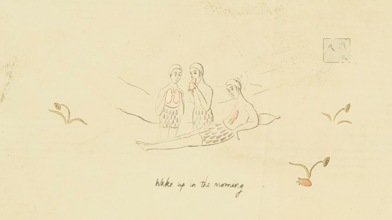 Tunng - Didn't Know Why [Official Video] - YouTube