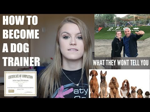 Dog trainer video 1