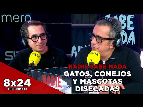 NADIE SABE NADA 8x24 | Gatos, conejos y mascotas disecadas